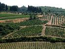 tuscany vacation package