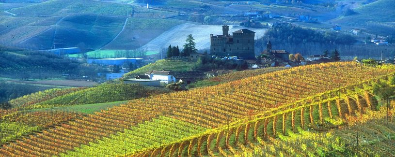 Piedmont sightseeing vineyard